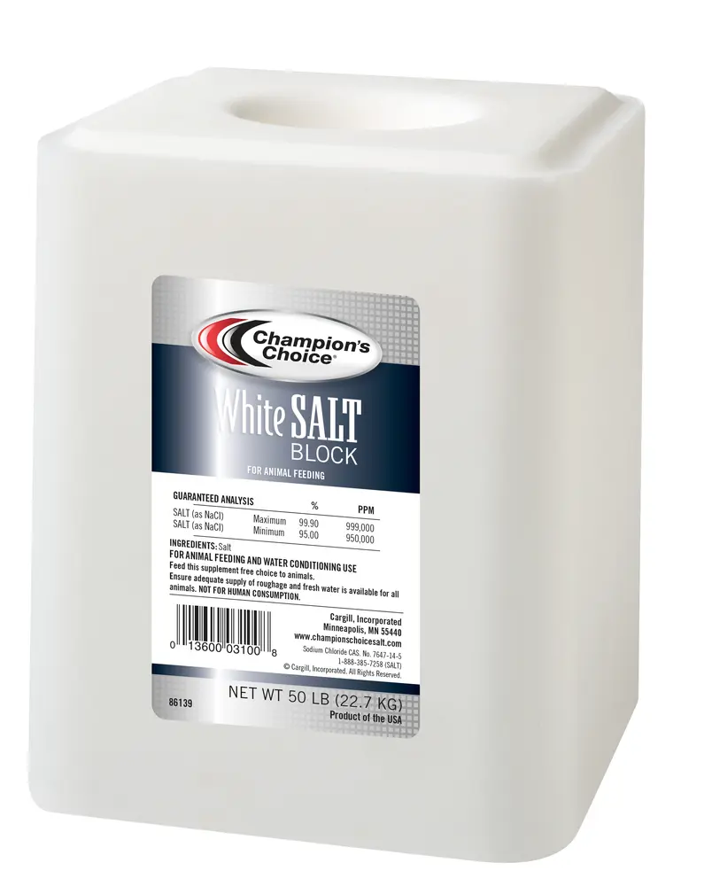 White Salt Block